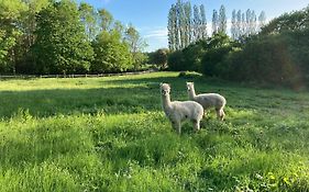 Hillcroft Holiday - Dragonfly Lodge, Woody Hut & Alpaca My Tipi Glamping